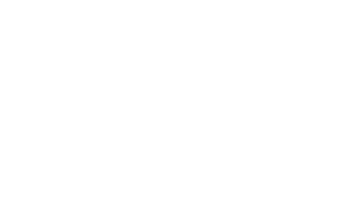 The Barnes Global Logo