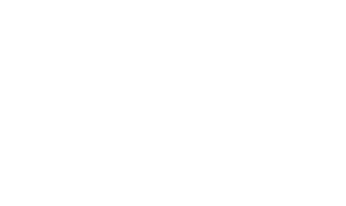 Pittsburgh International Airport Logo